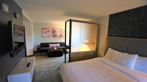 A hotel room with a large bed, a sofa, a TV, and a wall-mounted artwork.