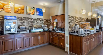 Comfort Inn & Suites North Aurora - Naperville