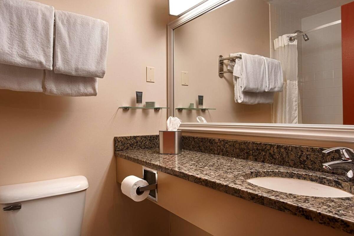 combined shower/bathtub, free toiletries, hair dryer, towels