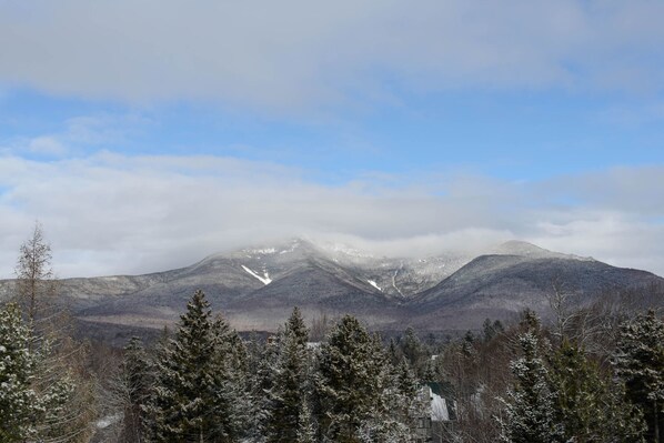 A mountain landscape with snow-covered trees and a clear sky.