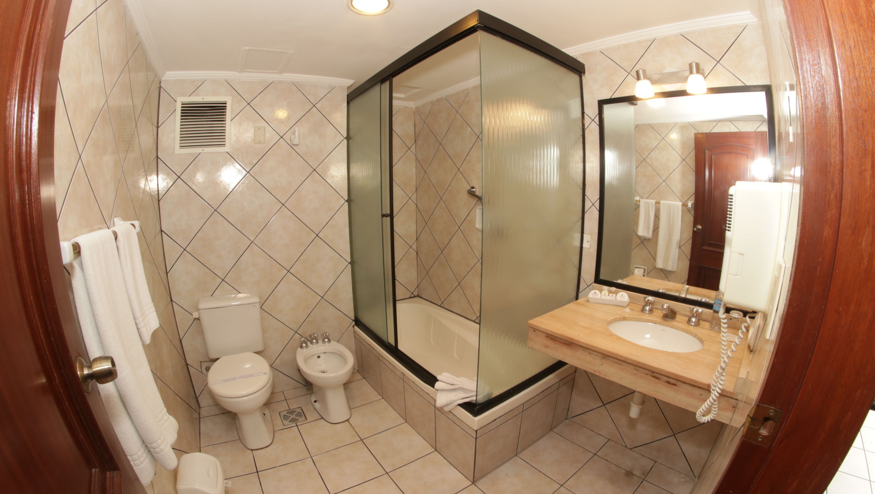 combined shower/bathtub, free toiletries, hair dryer, towels