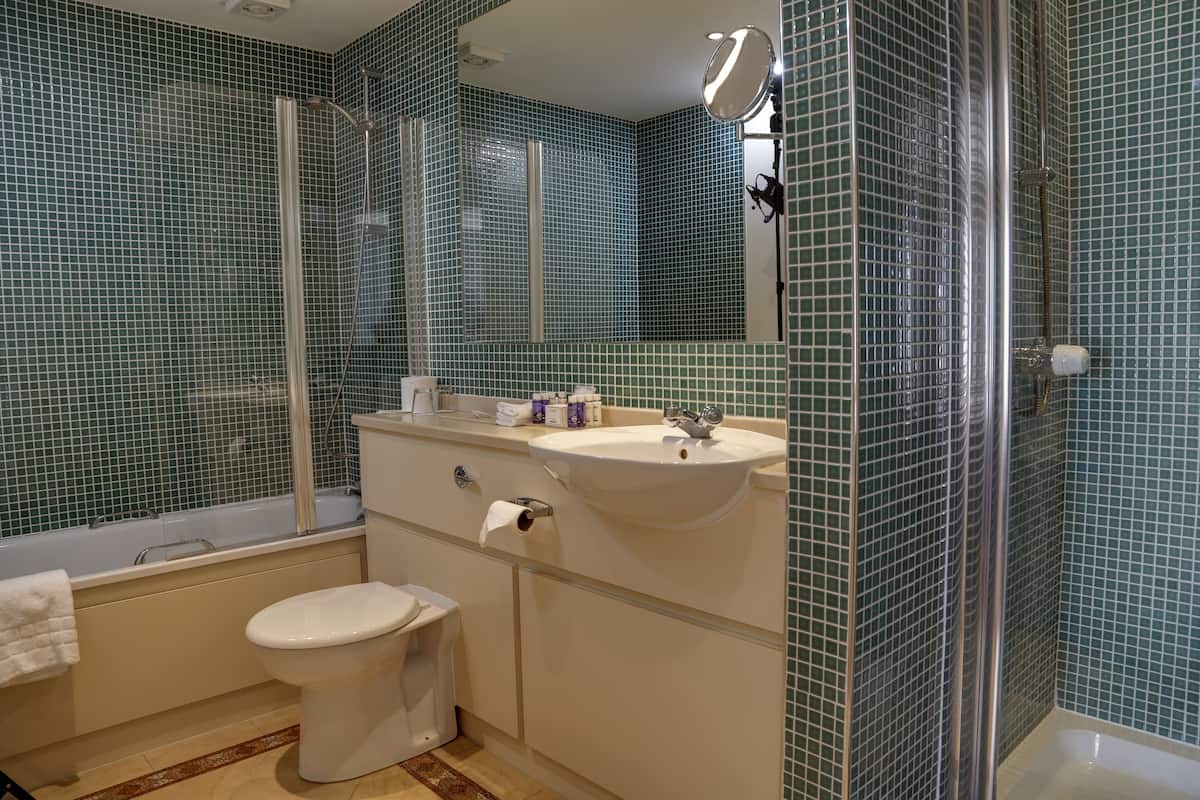 combined shower/bathtub, free toiletries, hair dryer, bathrobes