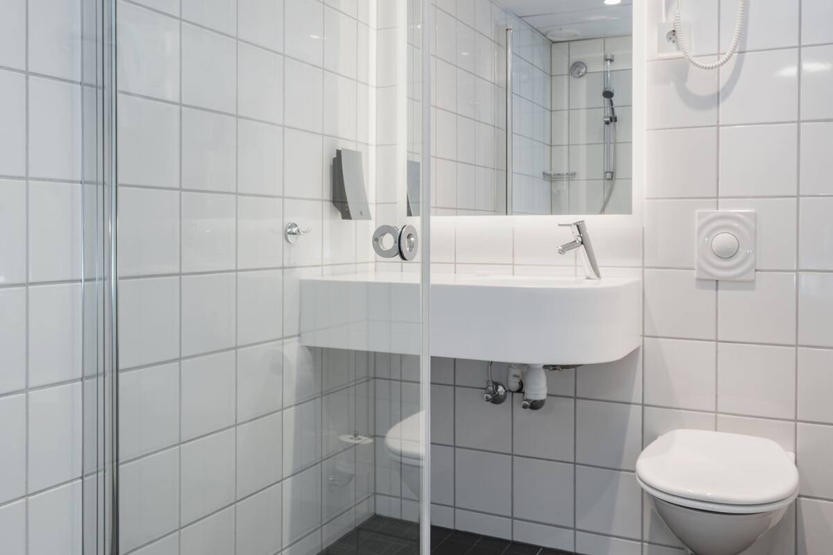 shower, free toiletries, hair dryer, towels