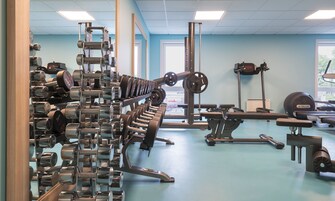 Un gimnasio con diverso equipo de ejercicio, incluyendo mancuernas, una estructura para sentadillas y un banco.
