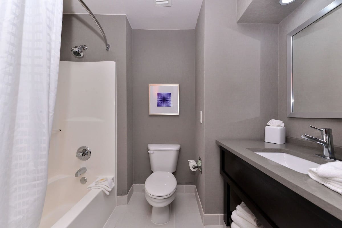 free toiletries, hair dryer, towels