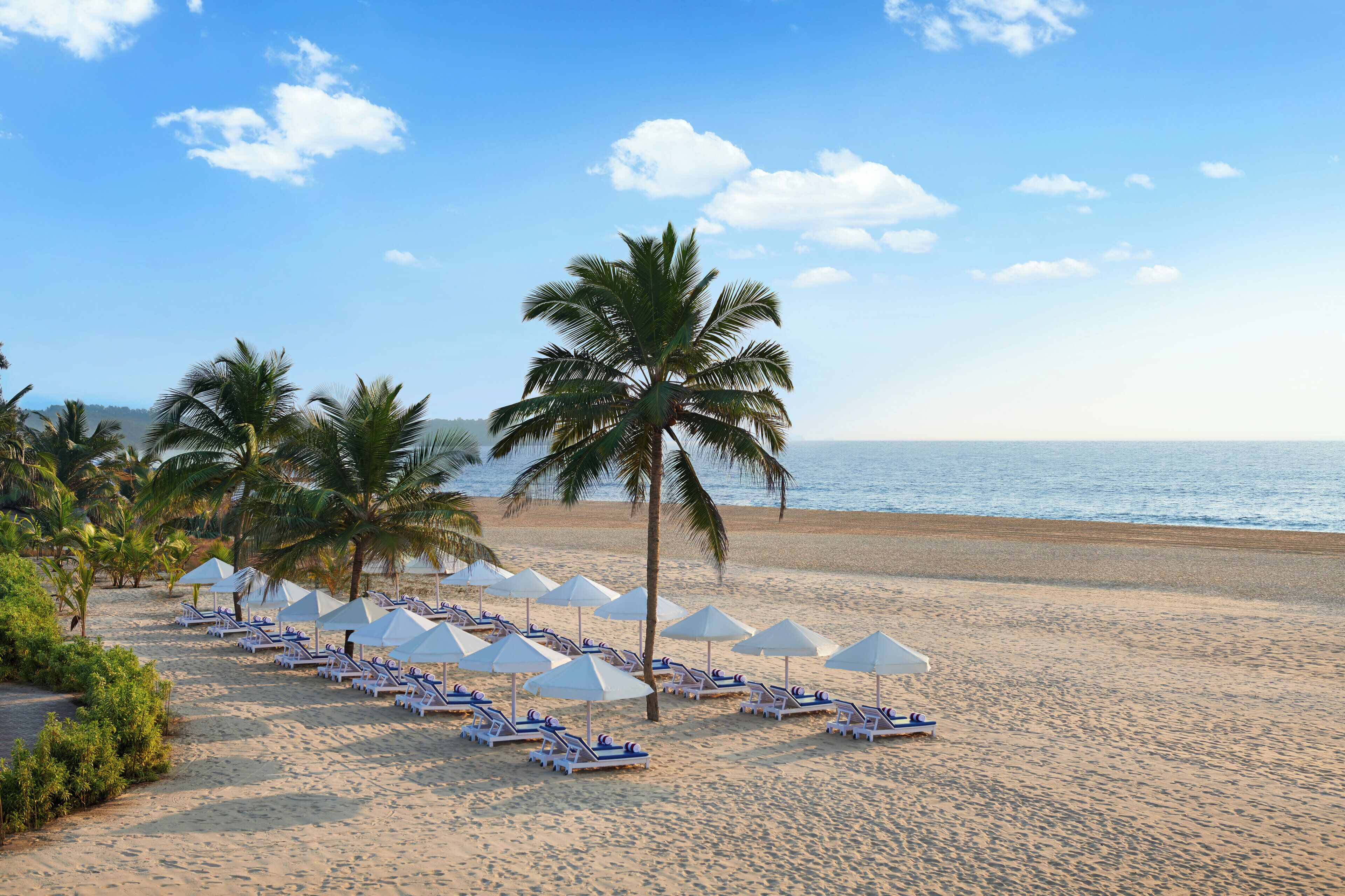 Une plage bordée de rangées de chaises longues et de parasols, de palmiers, et offrant une vue dégagée sur l’océan.