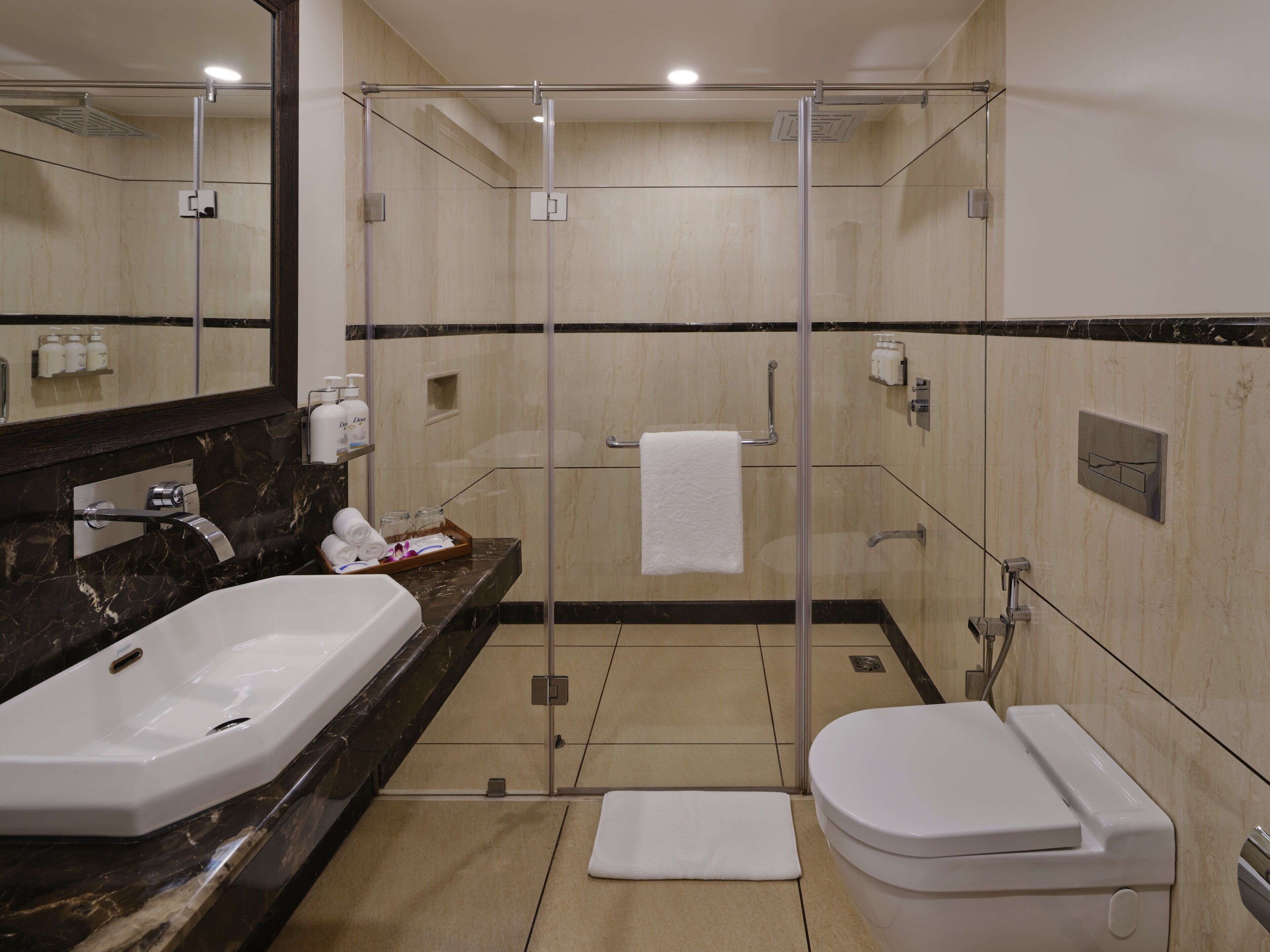 A modern bathroom with a glass-enclosed shower, a white sink, and a toilet.