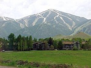 Esterni