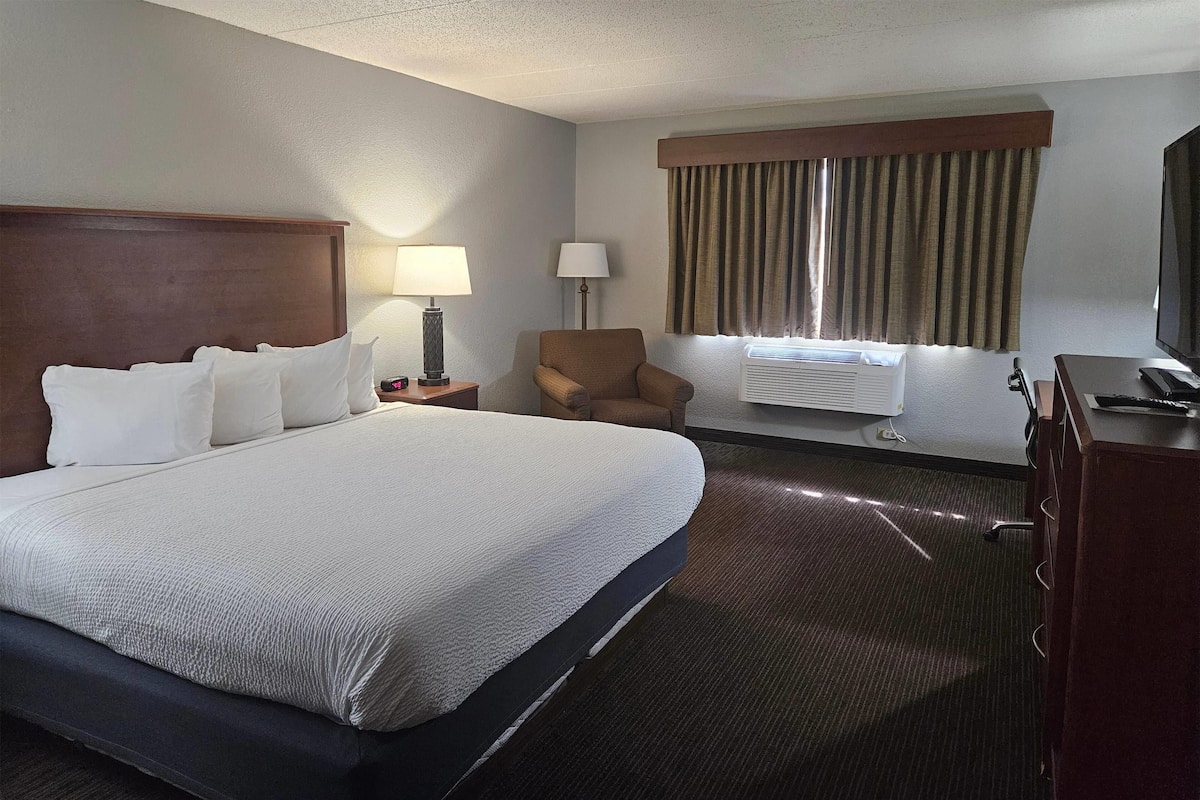 Room, 1 King Bed, Non Smoking