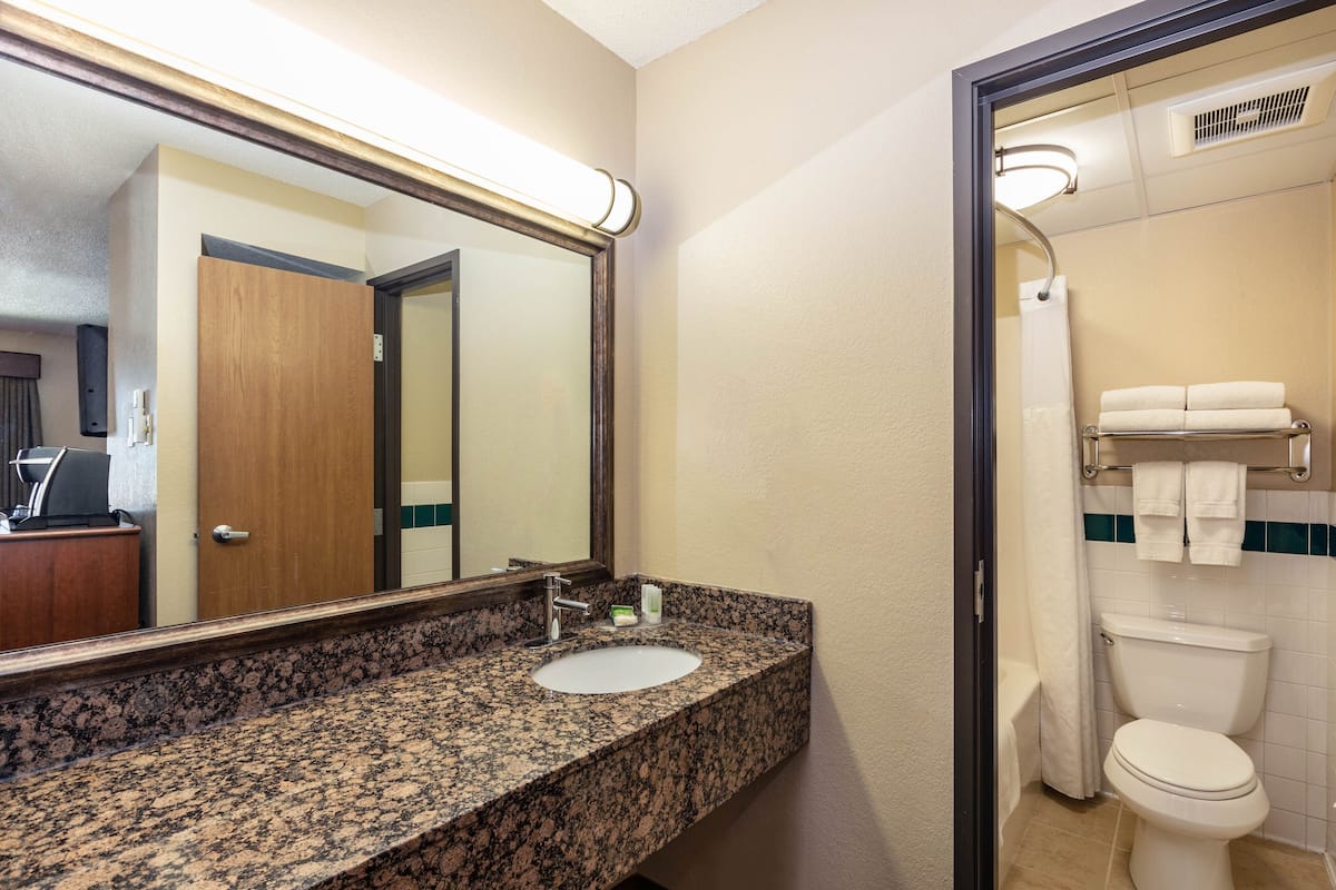 A bathroom with a granite countertop sink, a mirror, a toilet, and a shower area.