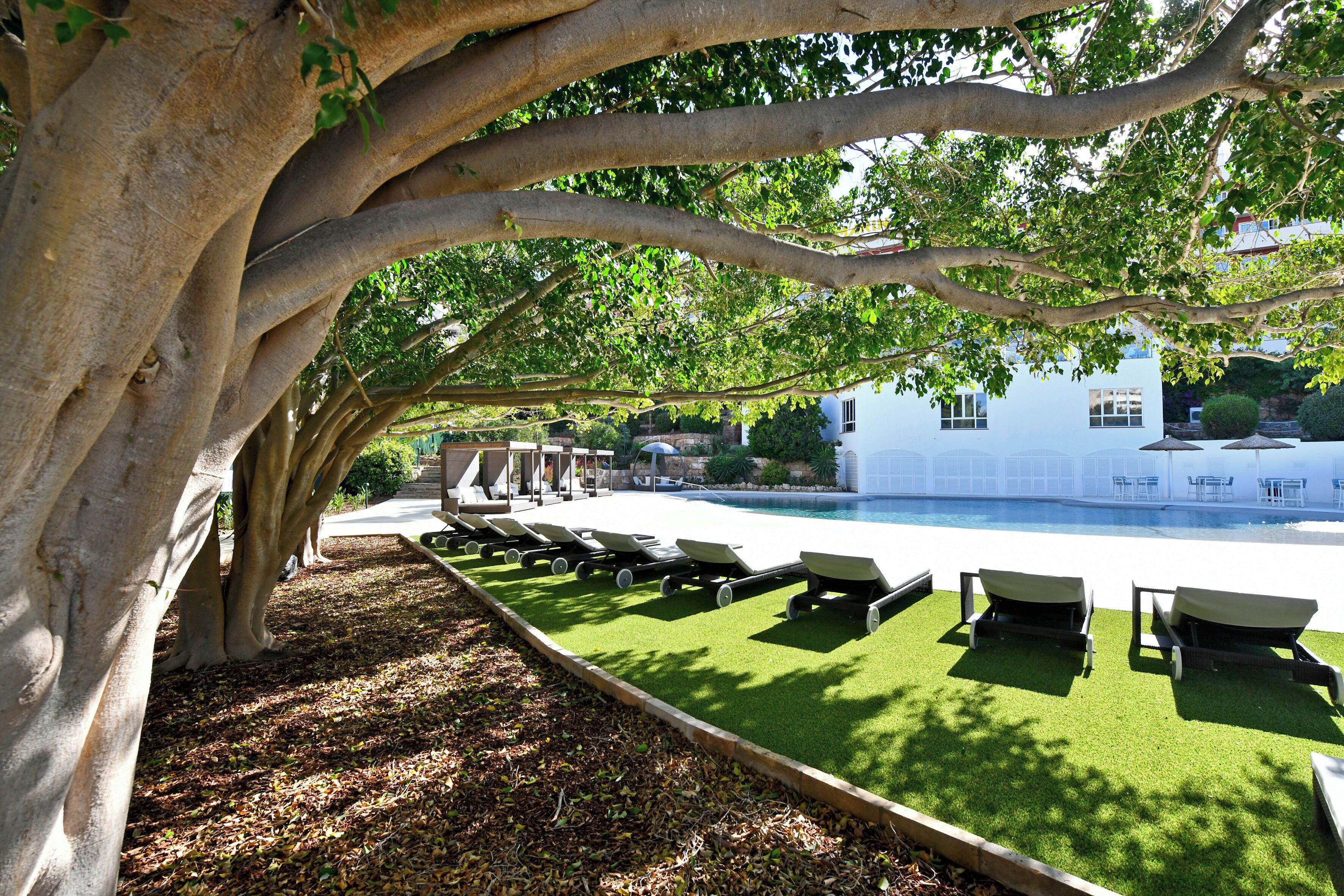 A poolside area with lounge chairs and a white building in the background.