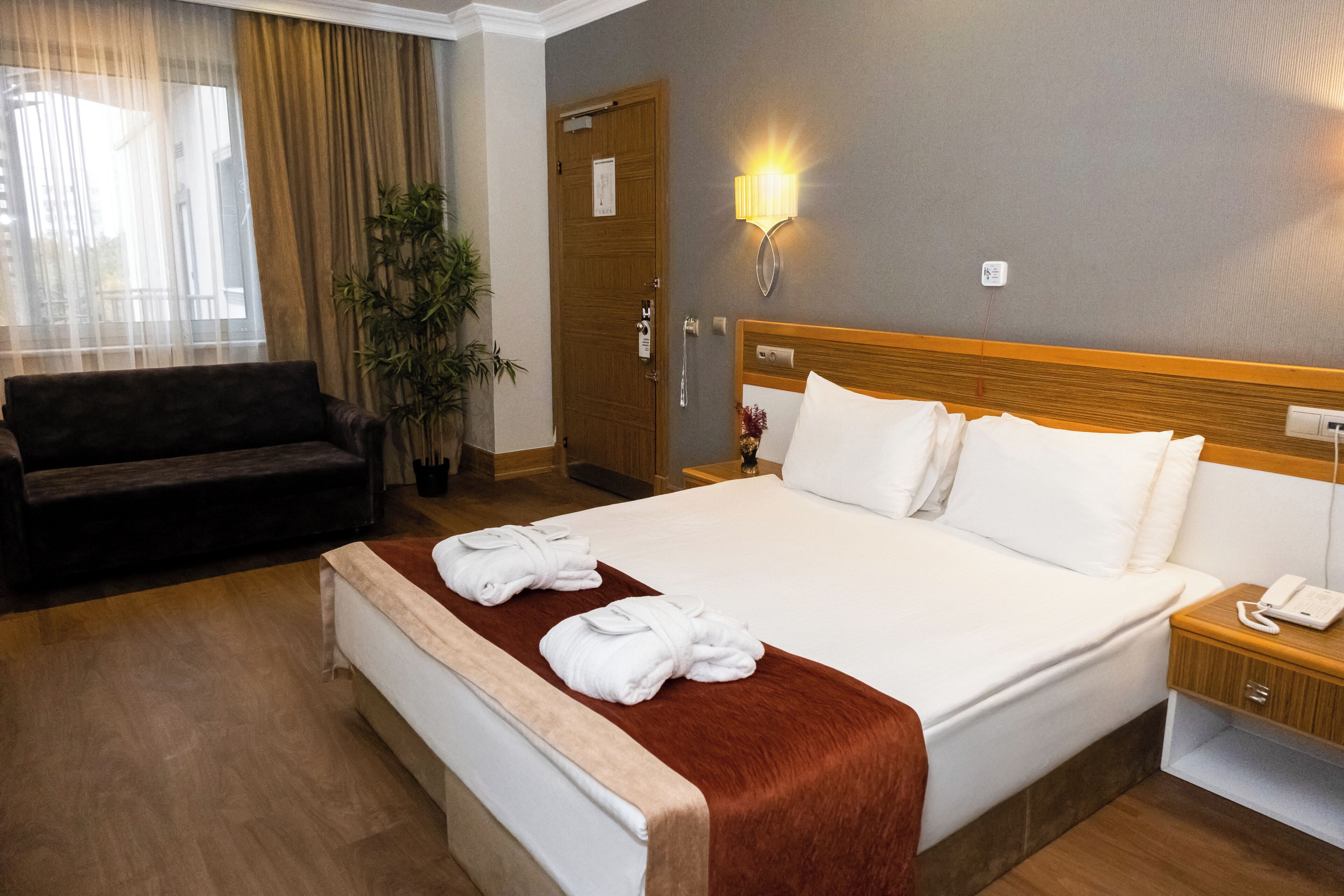 Habitació d'hotel amb un llit, una taula de nit amb un telèfon, un sofà, una planta en test i una porta.