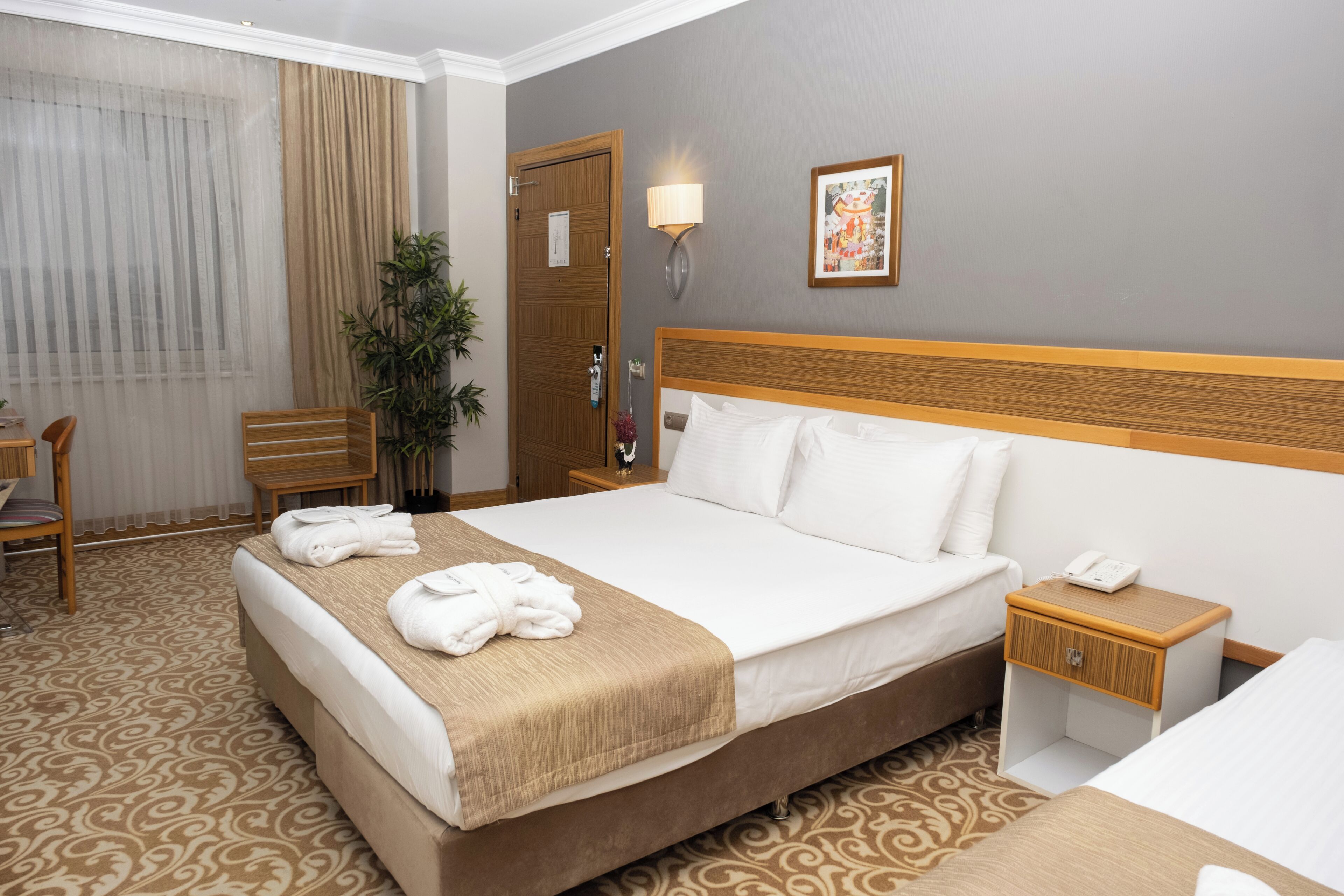 Habitació d'hotel amb un llit gran, una taula de nit amb una làmpada, una cadira, un escriptori i una planta.