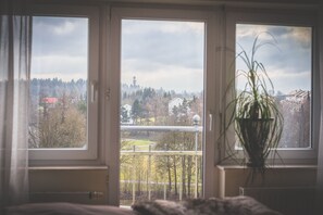 Vista desde la habitación