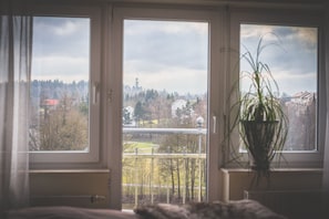Comfort-Apartment | Ausblick vom Zimmer