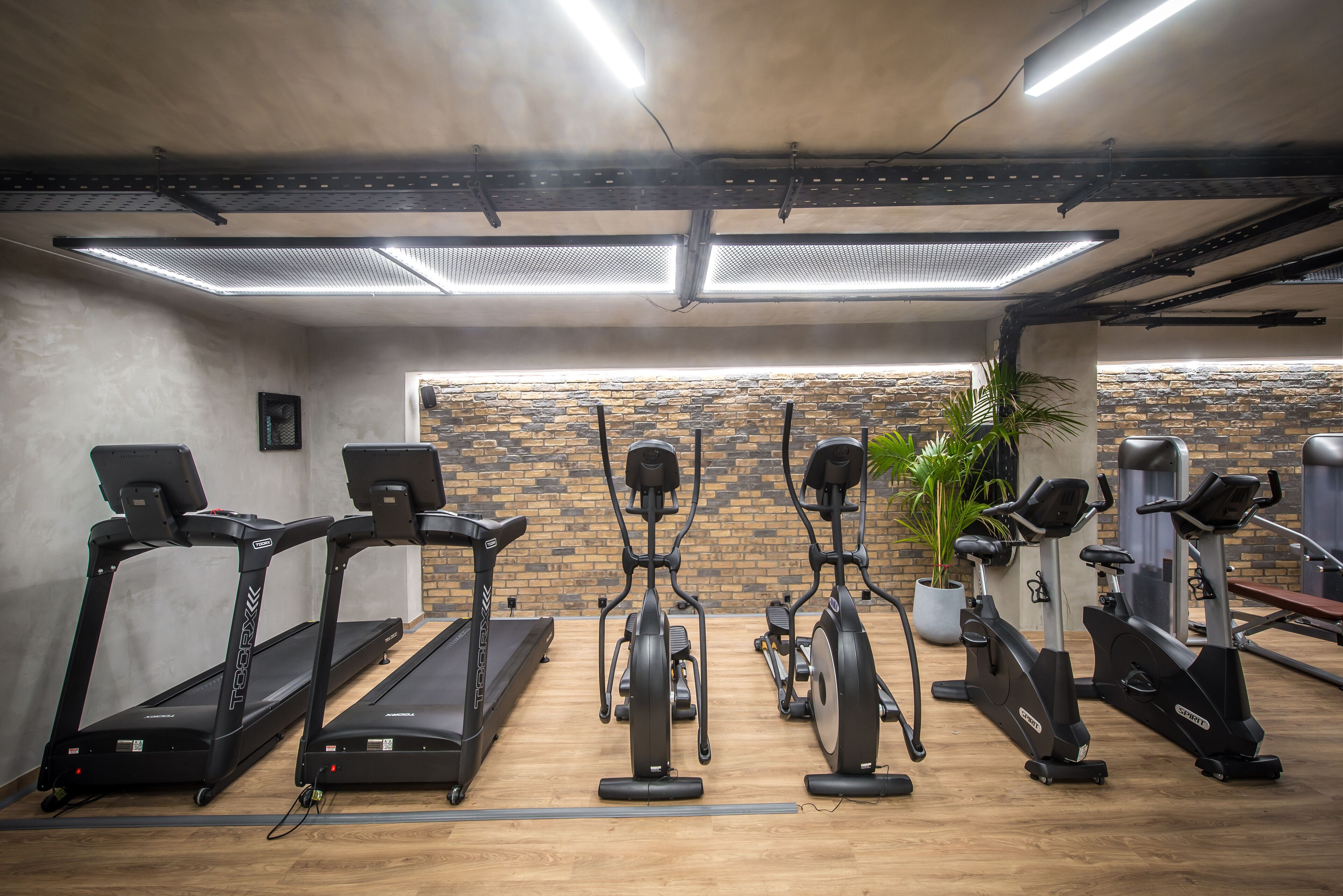 Een fitnessruimte met loopbanden, crosstrainers en hometrainers.