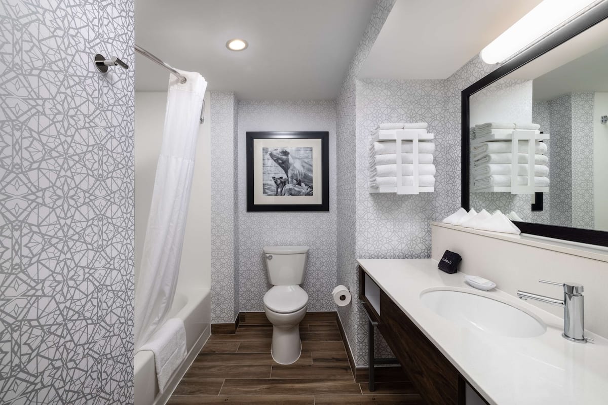 combined shower/bathtub, free toiletries, hair dryer, towels