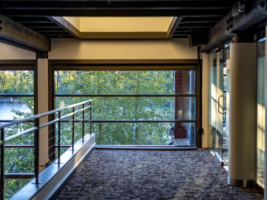 A view from a window with a metal railing, a skylight, and a view of trees outside.