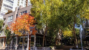 A modern building with large windows and a tree with autumn leaves in front. - River's Edge Hotel Portland, Tapestry Collection by Hilton (Portland)
