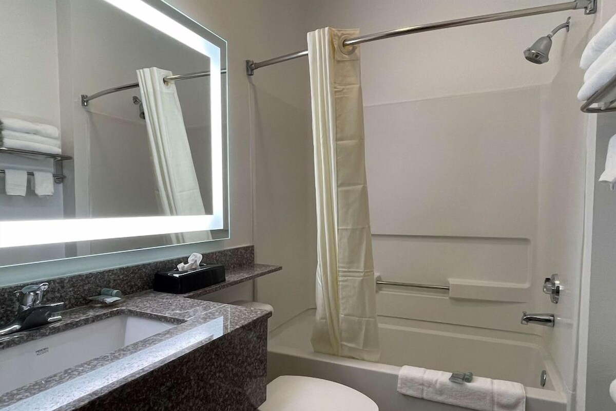 A bathroom with a granite countertop sink, a toilet, a shower with a curtain, and a mirror with a light.