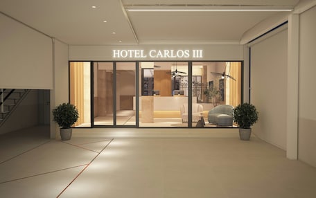 A hotel entrance with a reception desk, seating area, and potted plants.