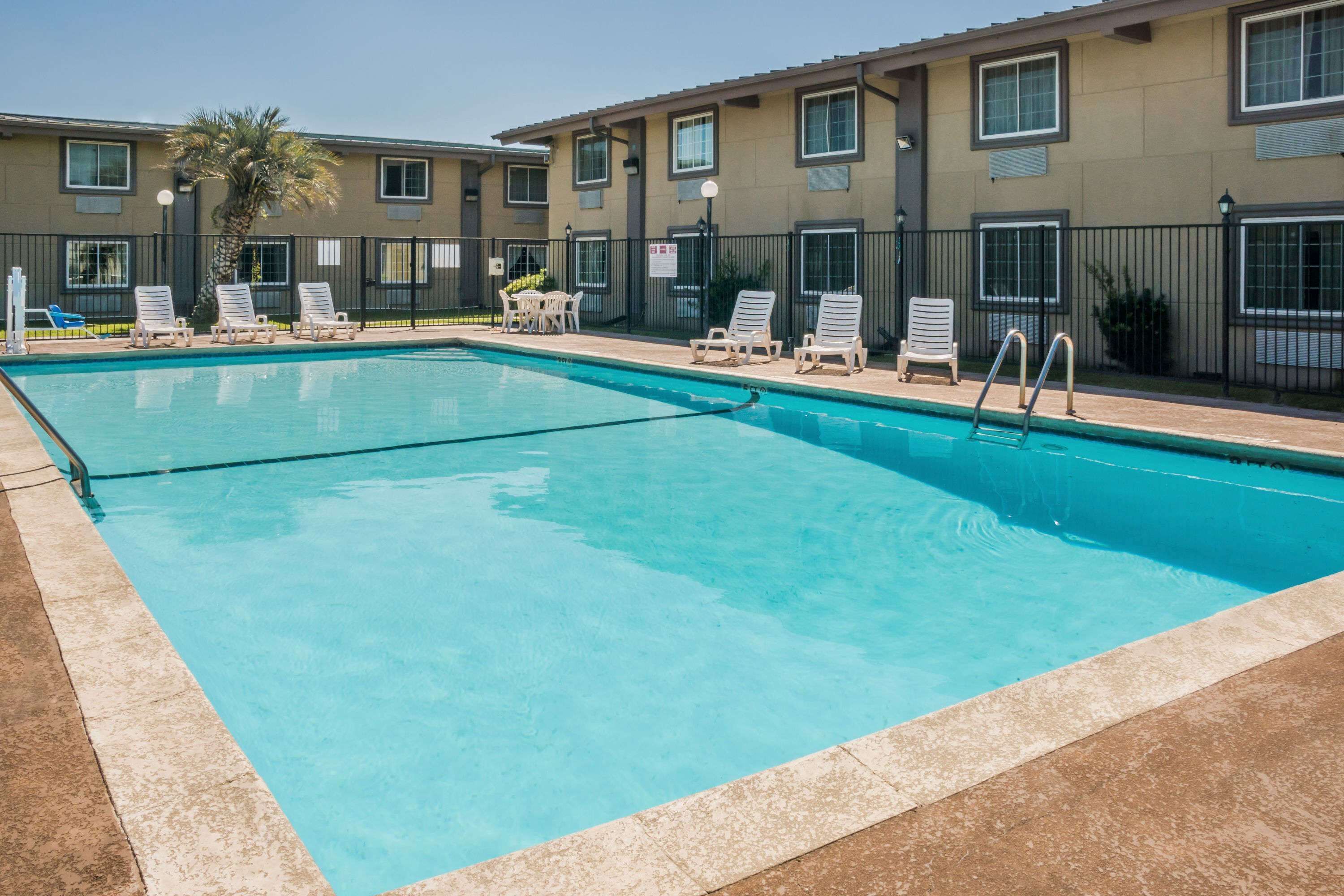 Una piscina rectangular con agua azul cristalina, rodeada por una solana con baldosas. Hay varias sillas de descanso blancas y una palmera cerca.