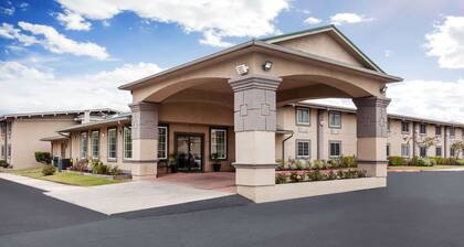 Super 8 by Wyndham Beaumont I-10 South/College St