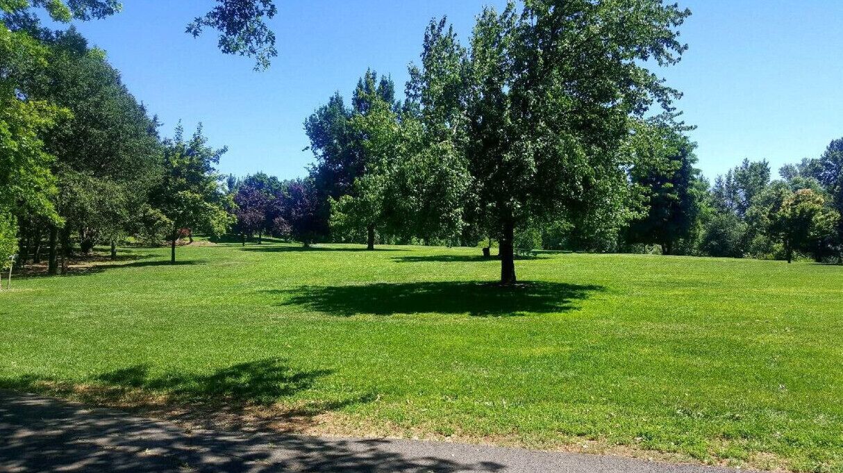 A park with a grassy area and trees.