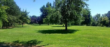 A park with a grassy area and trees.