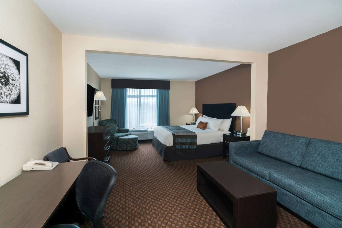 A hotel room with a bed, a sofa, a desk, and a chair. There is a window with curtains, a lamp, and a framed picture on the wall.