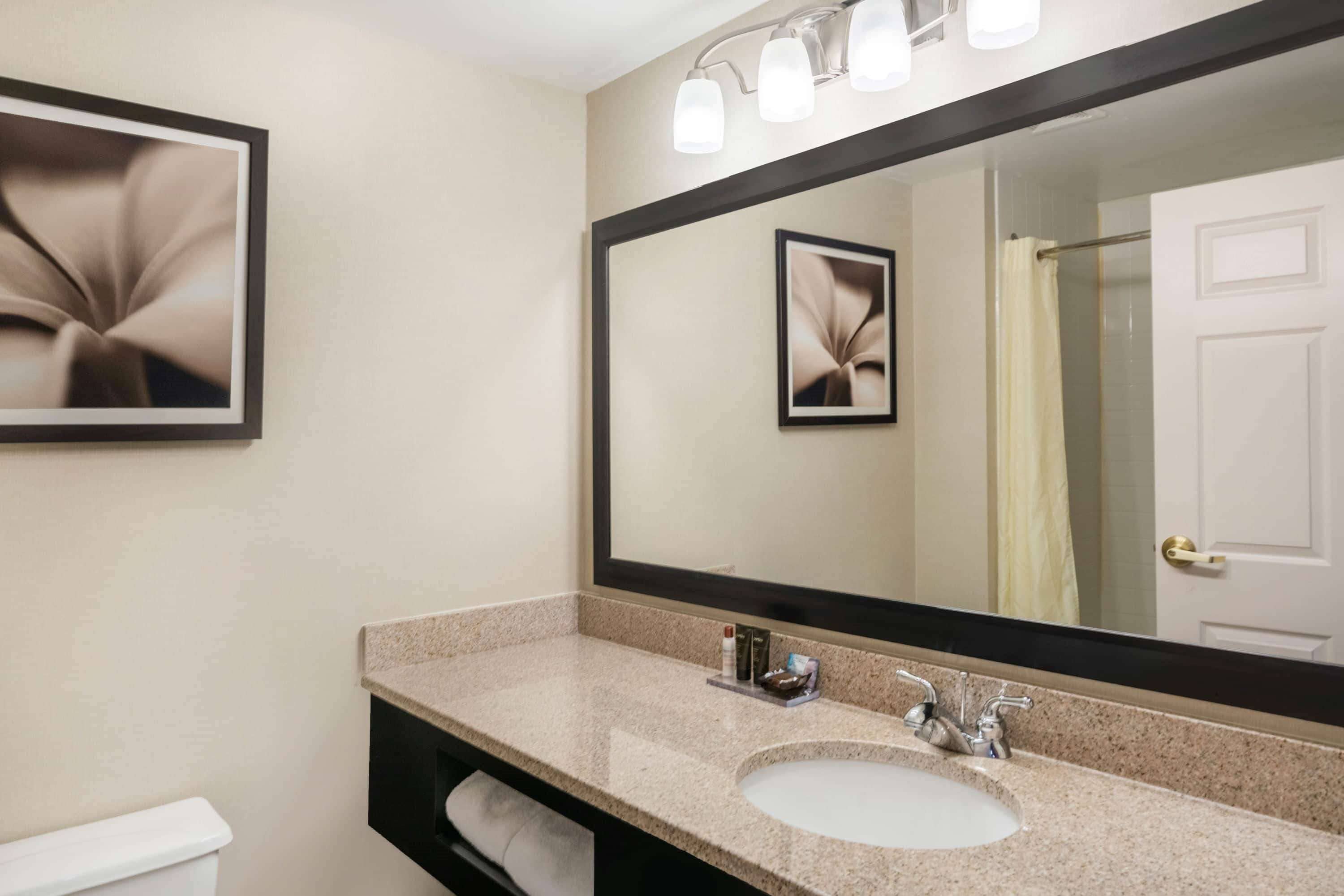 combined shower/bathtub, free toiletries, hair dryer, towels