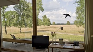 Comfort Double or Twin Room | Room amenity - Hotelcamp Reinsehlen (Schneverdingen)