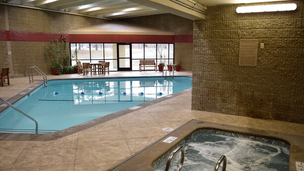 Une piscine intérieure dotée d’un jacuzzi, d’un revêtement de sol carrelé et d’un espace détente avec des chaises et des plantes en pot.