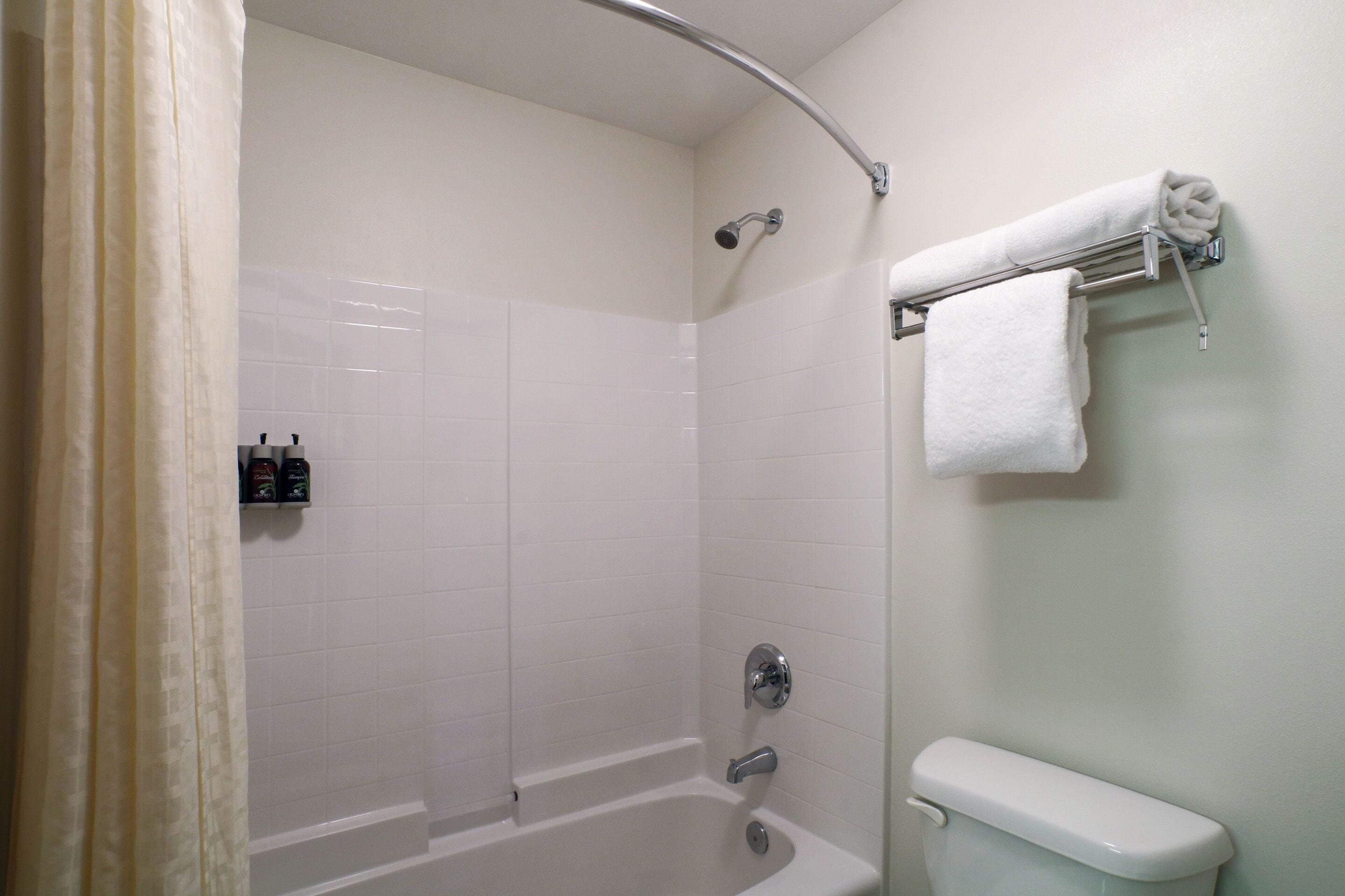 combined shower/bathtub, free toiletries, hair dryer, towels
