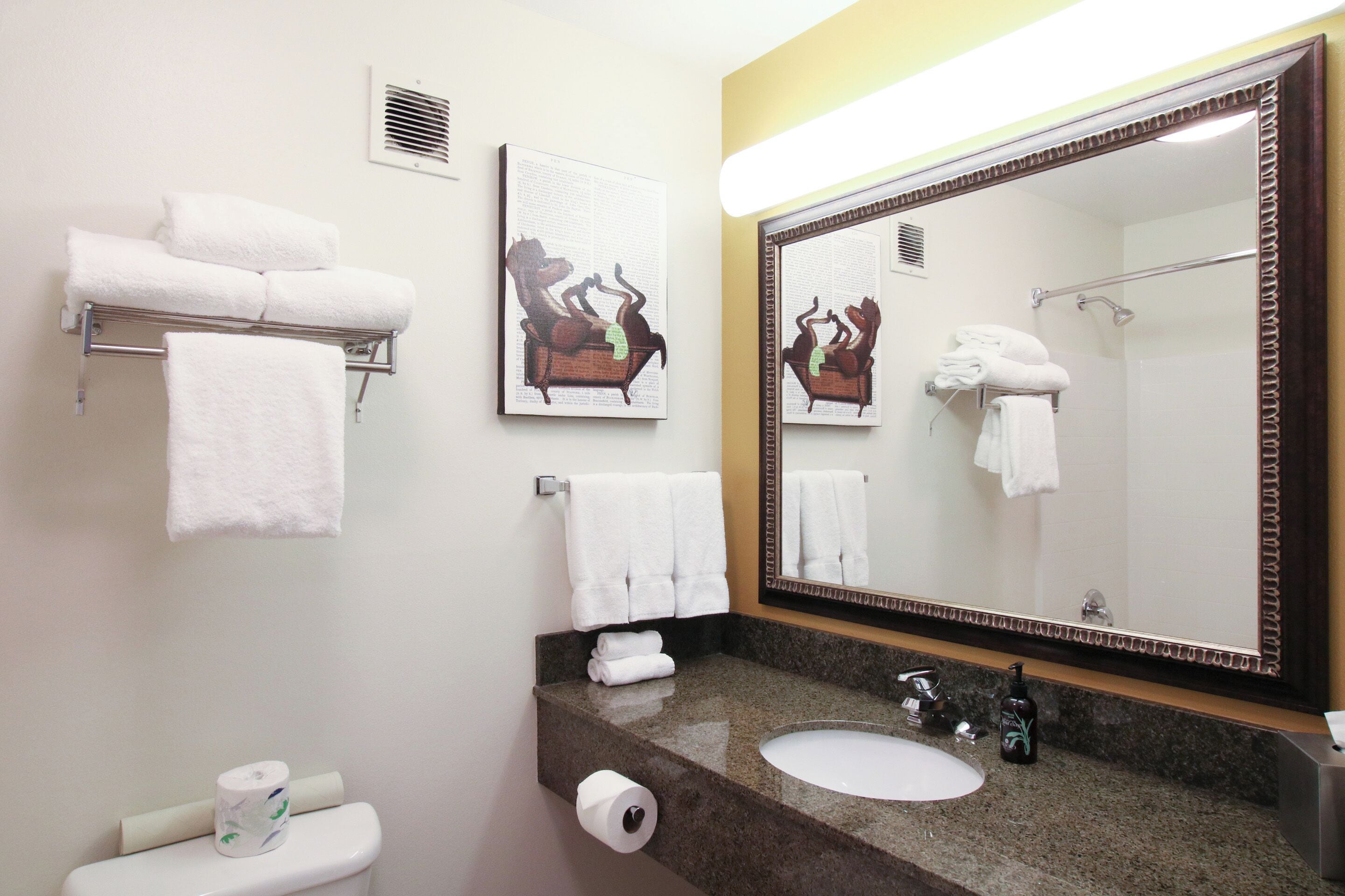 A bathroom with a large mirror, a sink, and multiple towel racks.
