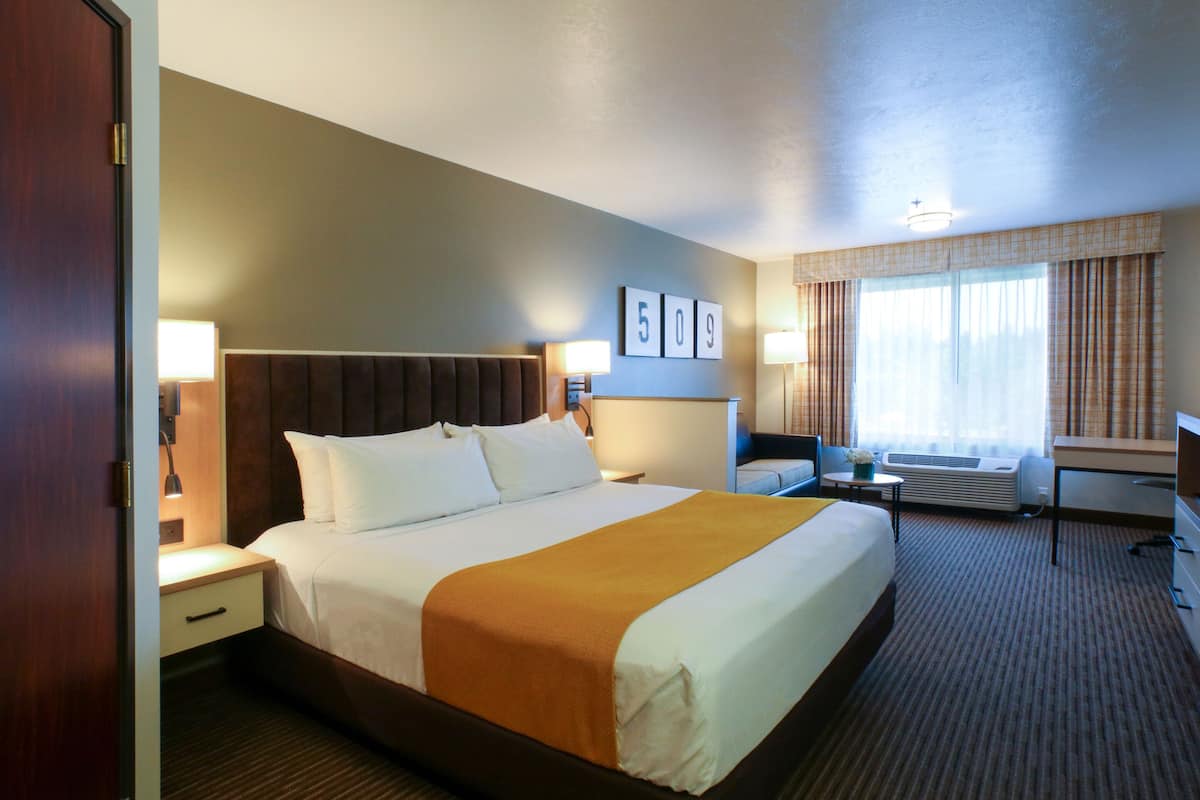 King Suite Sleeper Sofa | View from room