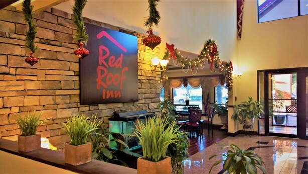 A Red Roof Inn lobby with a stone wall, a sign, potted plants, a reception desk, and a Christmas tree. - Red Roof Inn Atlanta Southeast - Stockbridge (Stockbridge)