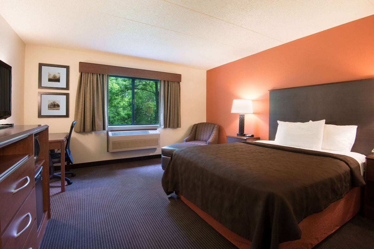 Habitación de hotel con cama, escritorio, silla, televisor, ventana con cortinas y lámpara.