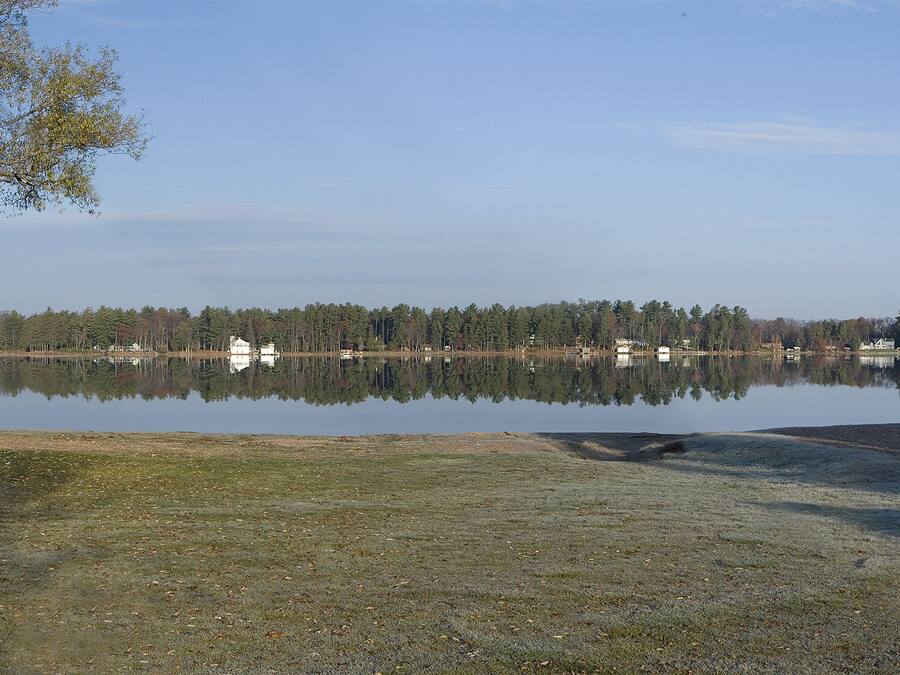 A serene lakeside view with a clear sky, calm water, and a forest in the background.
