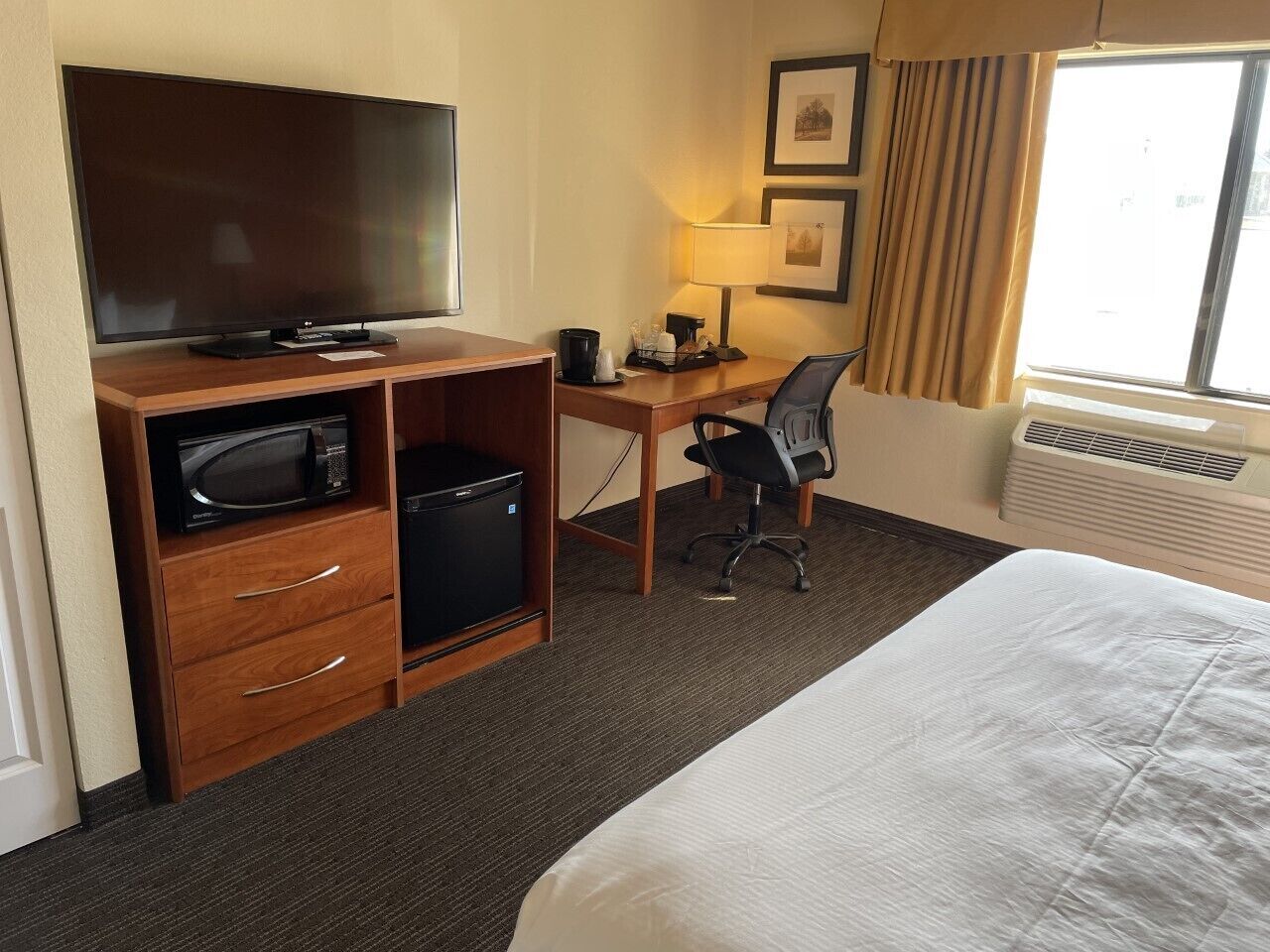 A hotel room with a bed, a desk with a chair, a television, a microwave, and a coffee maker.