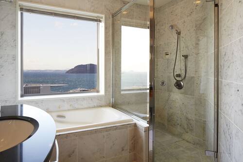 Combined shower/tub, deep soaking tub, free toiletries, hair dryer