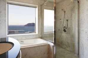 Combined shower/tub, deep soaking tub, free toiletries, hair dryer