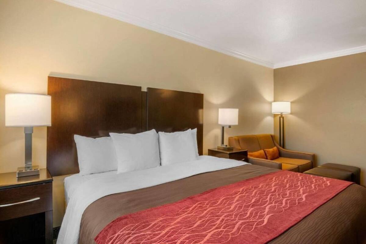 A hotel room with a large bed, two bedside lamps, a sofa, and a nightstand.
