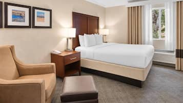 Habitación de hotel con cama, una silla, mesita de noche, lámpara y ventana con cortinas.