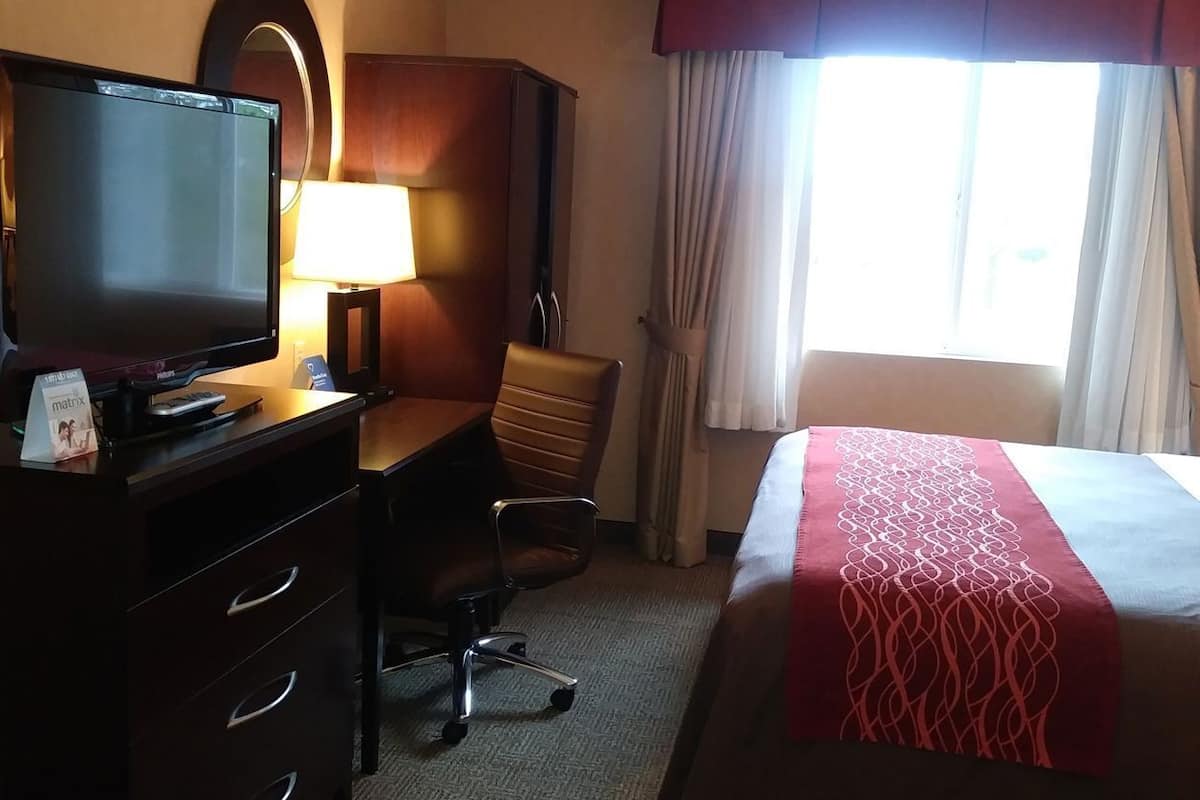 Desk, iron/ironing board, free cots/infant beds, free WiFi