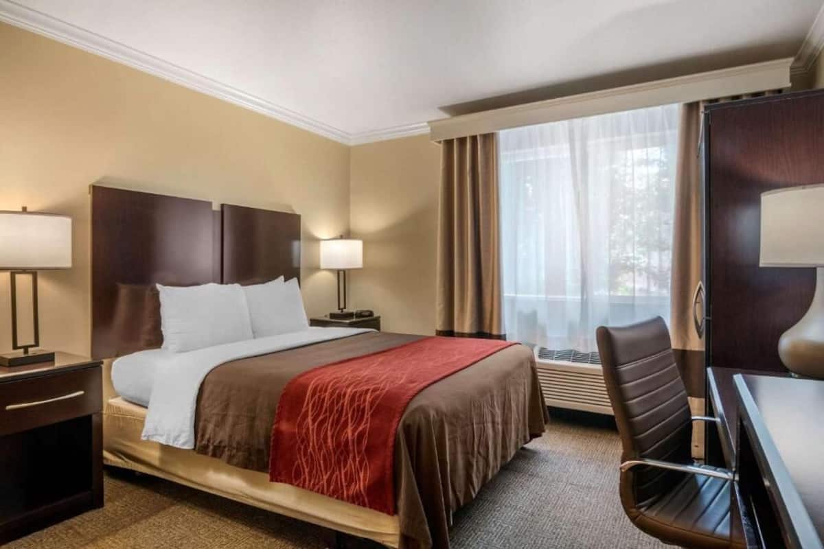 Desk, iron/ironing board, free cots/infant beds, free WiFi