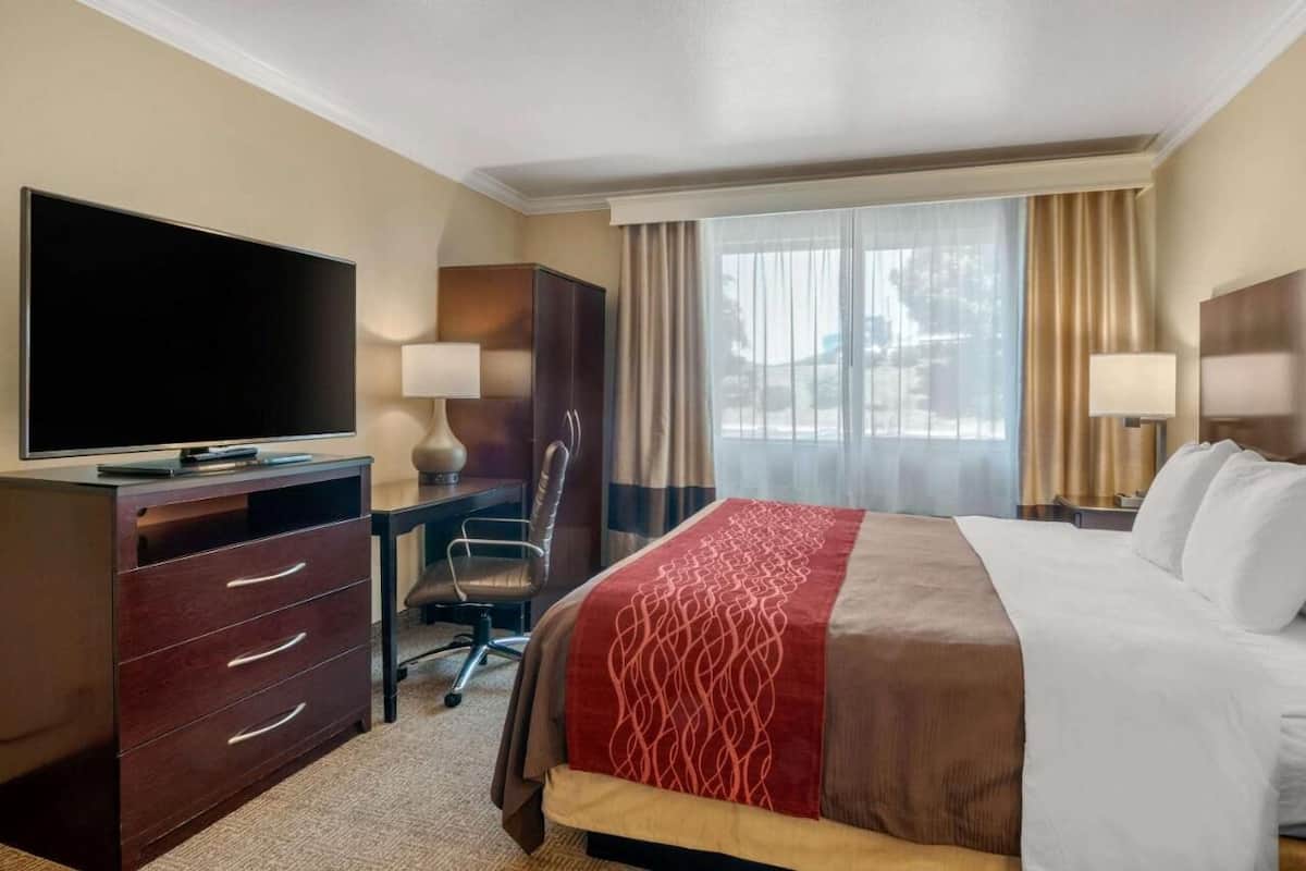 Chambre Standard, 1 très grand lit, non-fumeur | Bureau, fer et planche à repasser, lit de bébé (gratuit)