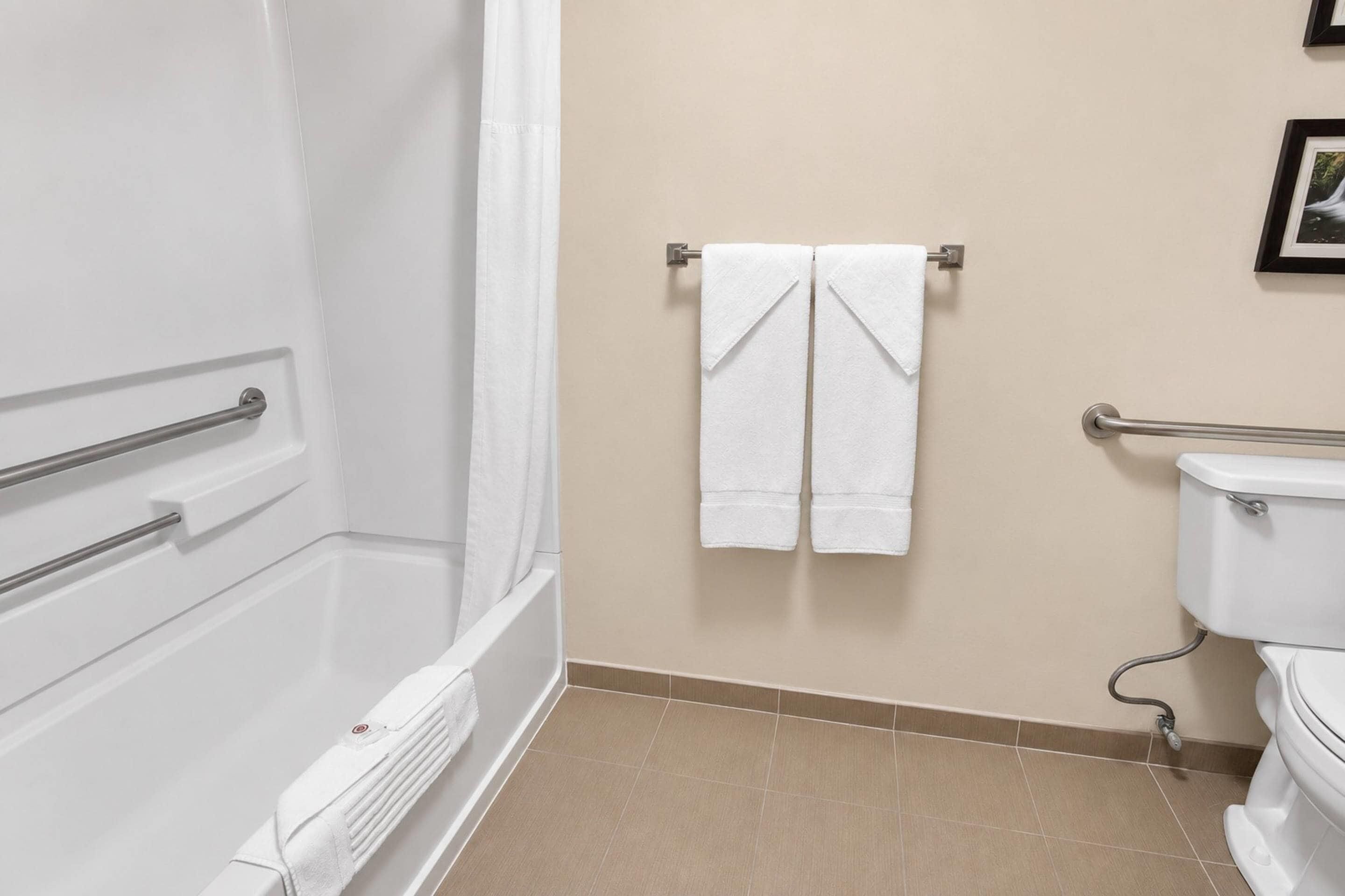 Room, 1 Queen Bed, Accessible, Non Smoking | Desk, iron/ironing board, cribs (free), WiFi (free)