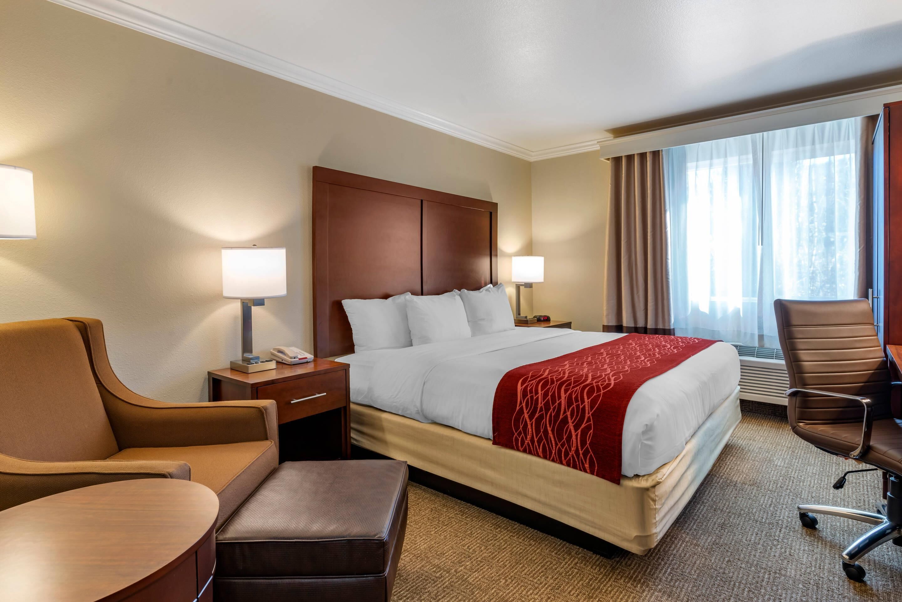 Rom – standard, 1 kingsize-seng, ikke-røyk | Skrivebord, strykejern/-brett og barnesenger (inkludert)