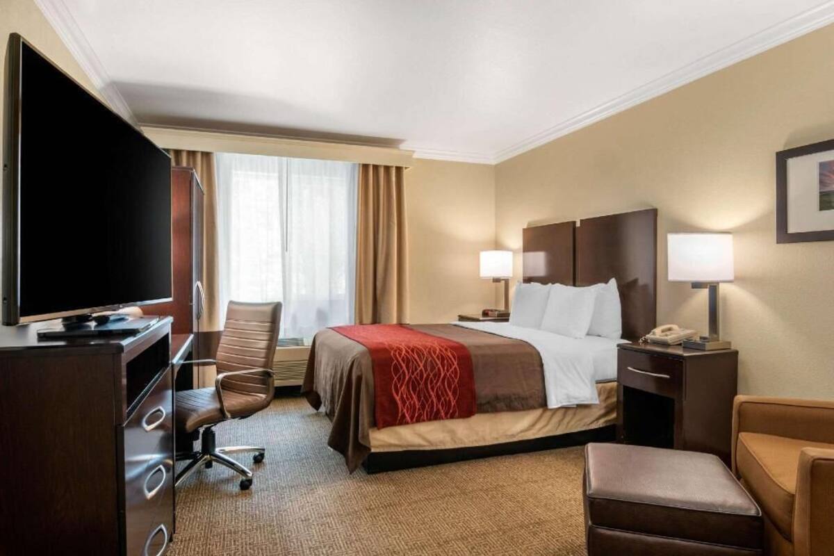 A hotel room with a bed, a desk with a computer, a chair, a television, and a window with curtains.